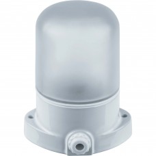 Светильник НПБ 400 д/сауны наст-потол IP54, 60 Вт белый SQ0303-0048 (ТДМ)